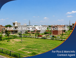6 MARLA PLOT FOR SALE IN SECTOR 85 MOHALI