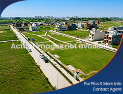 PLOT FOR SALE IN  SECTOR 95B MOHALI (100 sqyds )