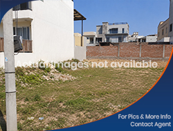 RESIDENTIAL PLOTS FOR SALE IN SECTOR 66 MOHALI