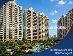 Flats / Apartments for Sale in Sector 66B IT city