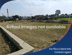 Residential Plots for Sale in Sector 21 (6.5 Marla / 165 square yard)