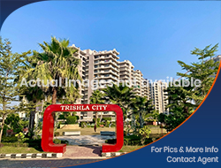 Flats / Apartments for Sale in Trishla City, High Ground Road, Zirakpur (3+1 BHK)