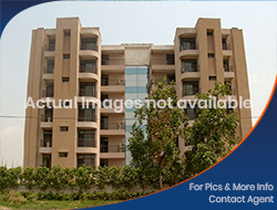 Flats / Apartments for Sale in PEERMUCHALLA, ZIRAKPUR
